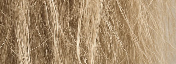 Kleurverlies