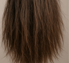 Droog haar