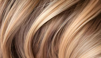 Highlights